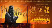 15岁的欧文·库伯凭借《混沌少年时》中的惊艳表现，提名限定剧/电视电影最佳男配角，成为该奖项历来最年轻的入围者。