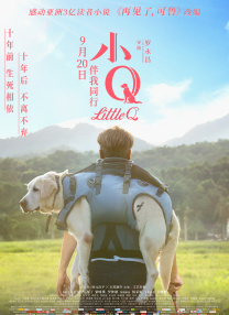 有观众指出，电视剧不仅对“蝴蝶蓝”原著中的主要剧情和故事线进行了大量改动，还改变了原定的人物性格和CP走向，失望表示该剧 《魔法坏女巫》改档！
